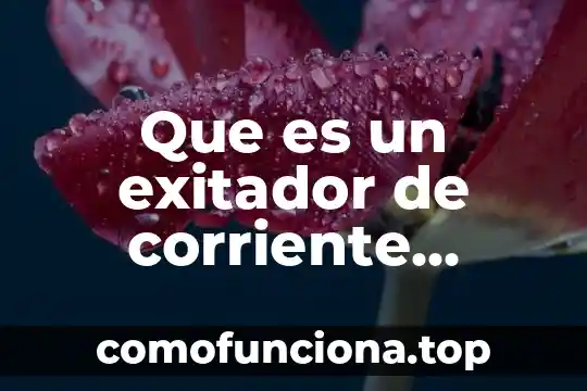 Que es la corriente artístico y movimiento 5 Que es un exitador de corriente directa