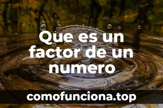 Qué es un número de convenio 7 Que es un factor de un numero