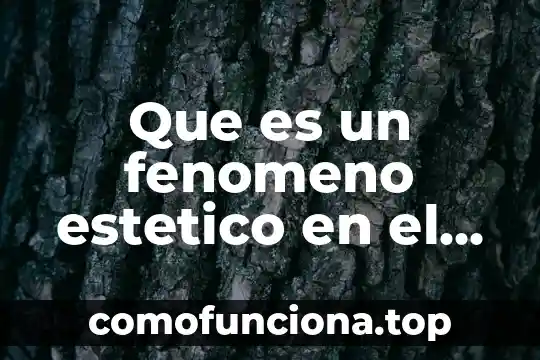Que es sombra y sus caracteristicas en el arte 5 Que es un fenomeno estetico en el arte