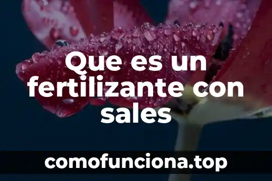 Que es linkedin sales navigator 4 Que es un fertilizante con sales