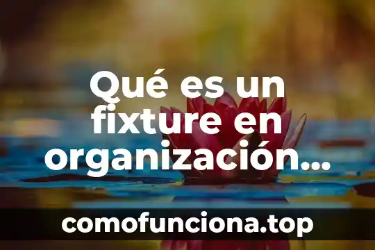 Que es el la organizacion en la danza 4 Qué es un fixture en organización deportiva