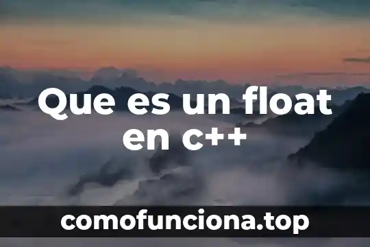 C++ que es el signo de pesos 6 Que es un float en c++