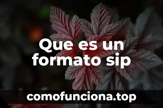 Que es exorto en derecho 8 Que es un formato sip