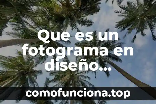 Qué es un diseño de planta 6 Que es un fotograma en diseño animacion