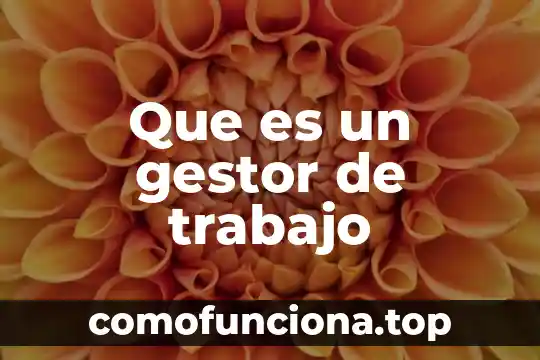 Que es el naturalismo etica y valores 6 Que es un gestor de trabajo