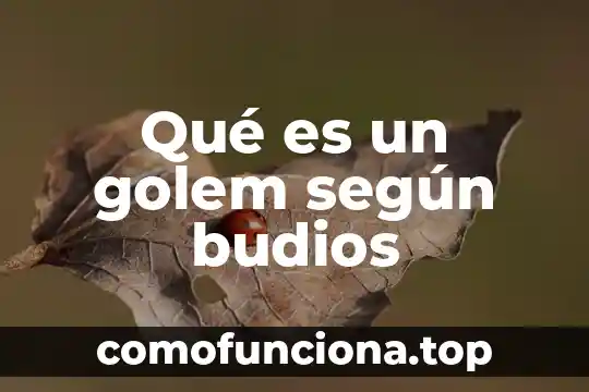 Que es el afecto segun la antropología 3 Qué es un golem según budios