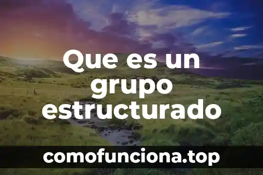 Que es los valores nims 8 Que es un grupo estructurado