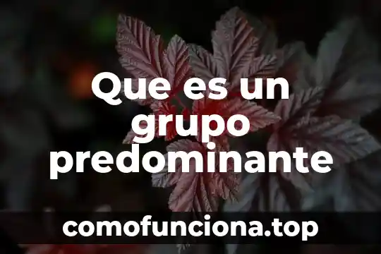 Que es el grupo g2 cubano 6 Que es un grupo predominante