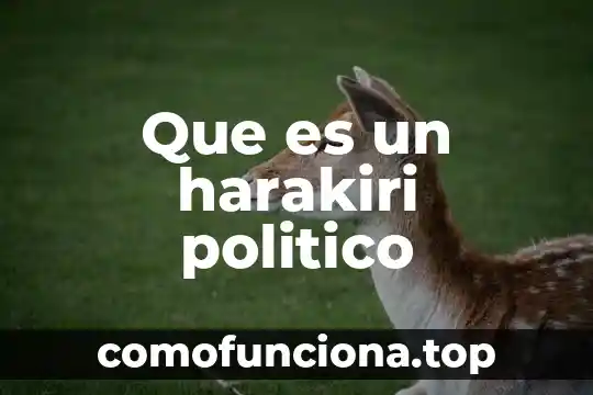 Qué es sistema político 8 Que es un harakiri politico