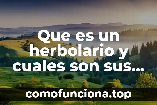 Que es cultura organizacional y cuales son sus elementos 5 Que es un herbolario y cuales son sus funciones