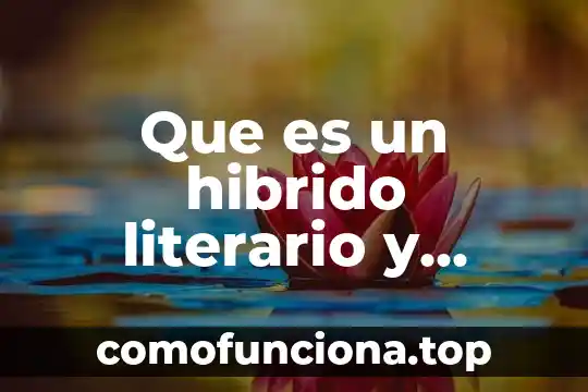Conclusión de que es texto literario 4 Que es un hibrido literario y caracteristicas
