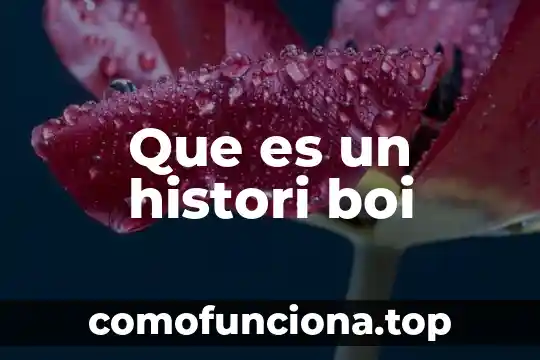 Que es la justicia de mexico 5 Que es un histori boi