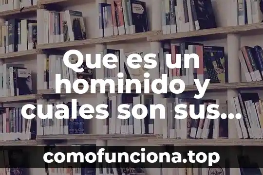 Qué es Excel y cuáles son sus componentes 5 Que es un hominido y cuales son sus caracteristicas