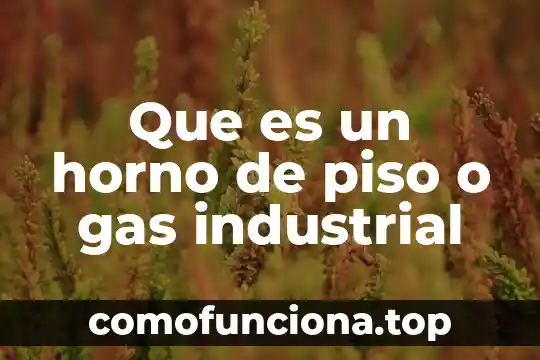 Definicion largo de que es el gas lp 5 Que es un horno de piso o gas industrial