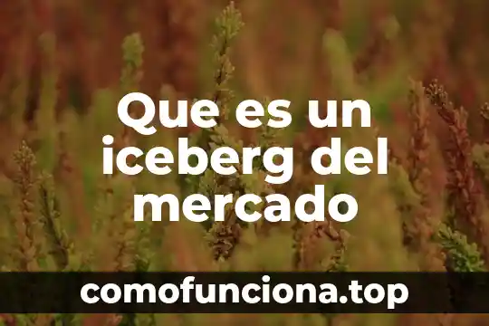 Que es la libertad de empresa y libre mercado 7 Que es un iceberg del mercado