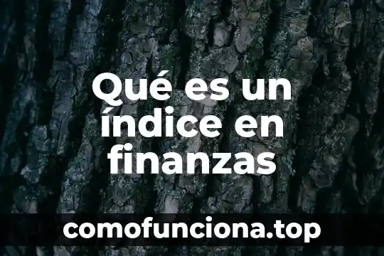 Que es el indice de realidad en la tecnica rorschach 7 Qué es un índice en finanzas