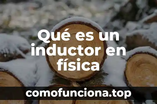 Que es cultura fisica motriz 8 Qué es un inductor en física