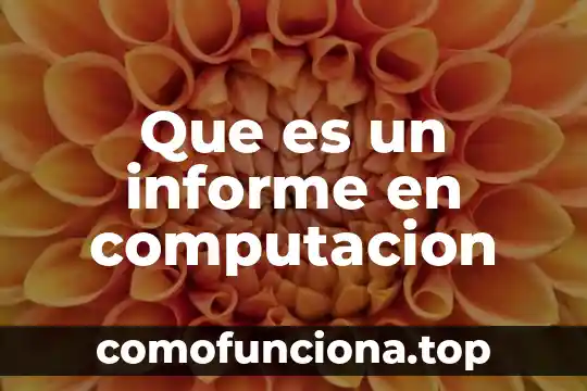Que es informe cualitativo y cuantitativo 4 Que es un informe en computacion