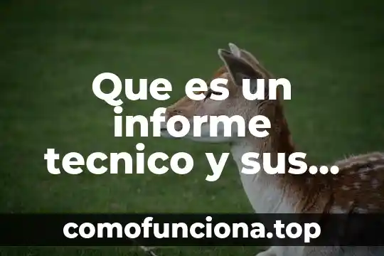 Qué es un informe de prácticas de hospital de enfermería 8 Que es un informe tecnico y sus caracteristicas