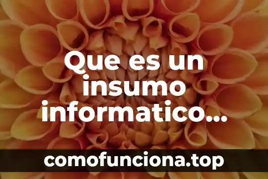 Que es un sistema informatico y como esta compuesto 6 Que es un insumo informatico cudro