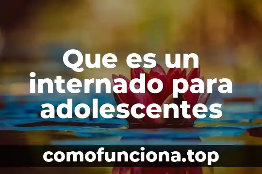 Que es el amate planta 7 Que es un internado para adolescentes
