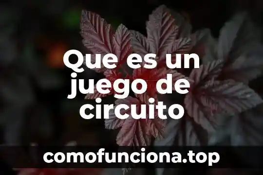 Que es una figura retorica juego de palabras 6 Que es un juego de circuito