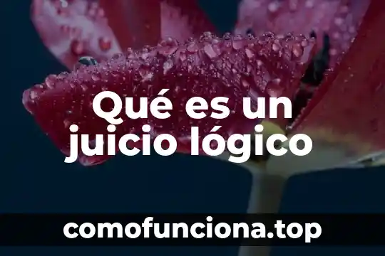 Que es el pensamiento logico matematico infantil 6 Qué es un juicio lógico