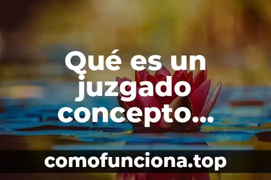 Que es juzgado de justicia familiar en mexico 5 Qué es un juzgado concepto jurídico