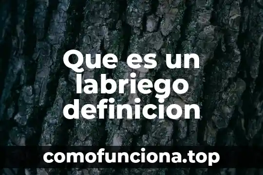 Que es deduccion definición abc 3 Que es un labriego definicion