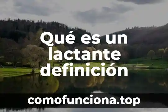 Qué es el malvón definición 8 Qué es un lactante definición