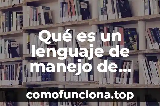 Qué es un canal de datos en informática 8 Qué es un lenguaje de manejo de datos
