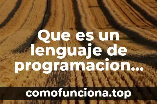 Qué es un proceso mental concepto 7 Que es un lenguaje de programacion mapa mental