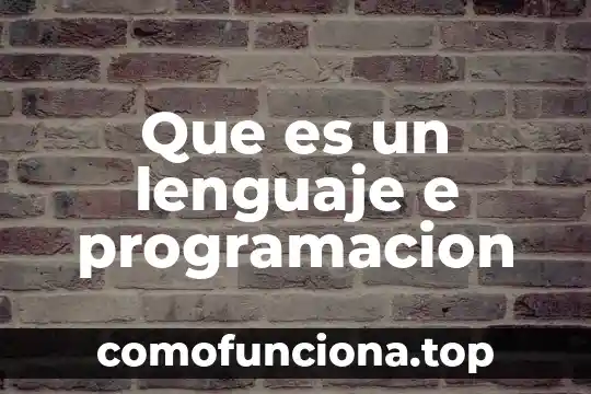 Que es un ser político 6 Que es un lenguaje e programacion