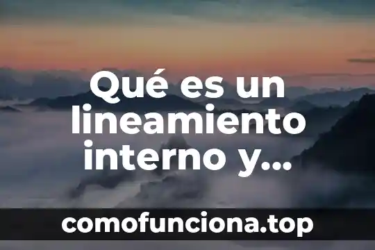 Qué es la figura supervisor externo de obra 7 Qué es un lineamiento interno y externo