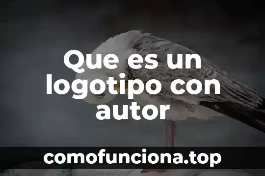 Que es el parametro de perdida de funciones 4 Que es un logotipo con autor