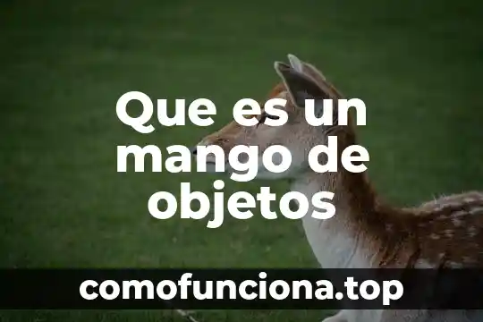 Que es el mandala del sol 4 Que es un mango de objetos