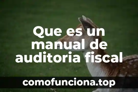 Que es una leyenda fiscal 8 Que es un manual de auditoria fiscal