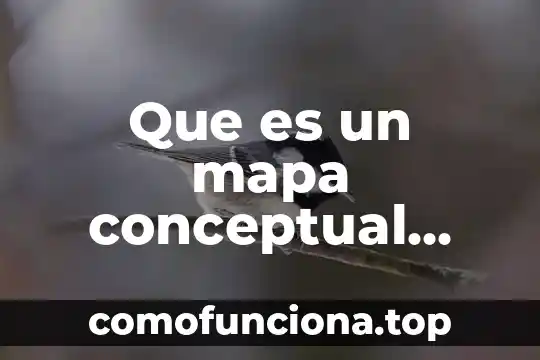 Que es el argumento de un texto argumentativo 6 Que es un mapa conceptual argumentativo