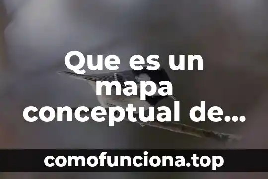Que es ser pavo en chile 8 Que es un mapa conceptual de poo