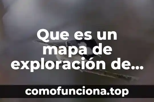 Qué es un análisis de hipótesis en administración de proyectos 8 Que es un mapa de exploración de proyectos