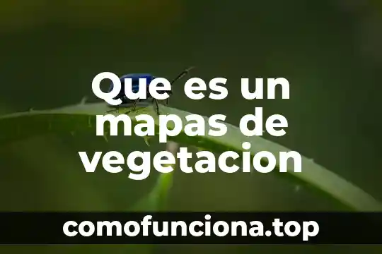 Mapas satelitales que es 3 Que es un mapas de vegetacion