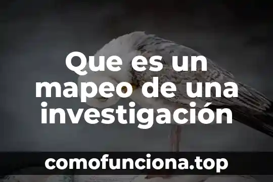 Investigación que es la rima asonante y consonante 3 Que es un mapeo de una investigación