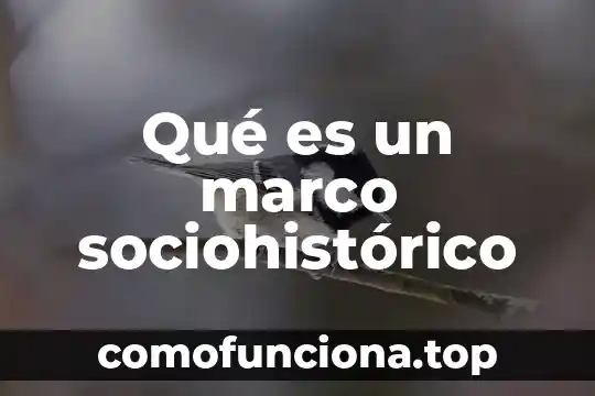 Que es el elaborar del marco de referencia 3 Qué es un marco sociohistórico