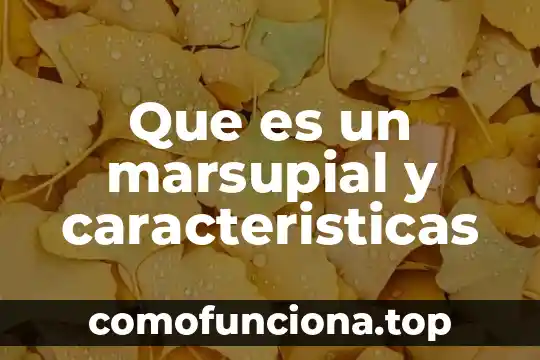 Que es el conocimiento y sus caracteristicas 6 Que es un marsupial y caracteristicas