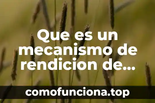 Qué es rendición de cuentas política 8 Que es un mecanismo de rendicion de cuentas