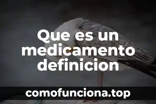 Que es el arte renacentista definicion 5 Que es un medicamento definicion