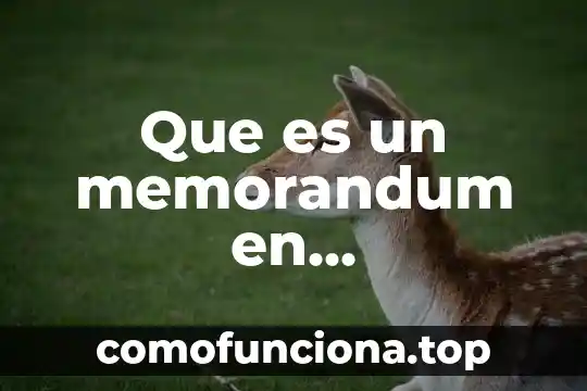 Que es la administracion estrategica libro 3 Que es un memorandum en administracion