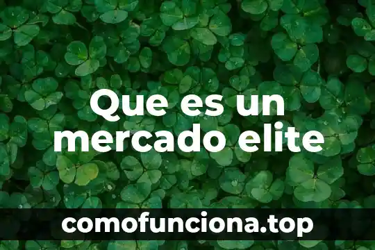 Que es la libertad de empresa y libre mercado 6 Que es un mercado elite