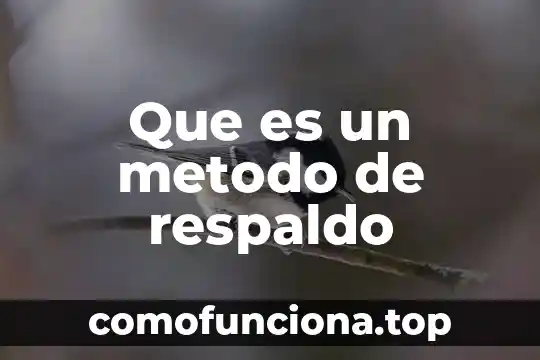 Que es respaldo de datos en lógica 7 Que es un metodo de respaldo