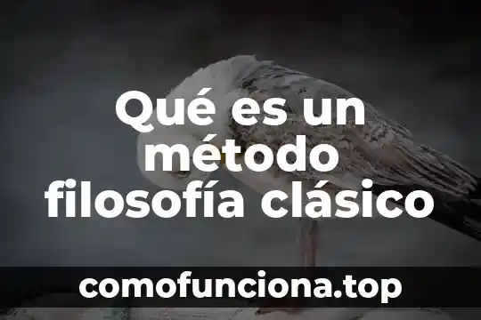 Que es la disciplina en la filosofia 8 Qué es un método filosofía clásico